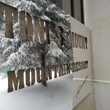 Toni's Mount Lodge