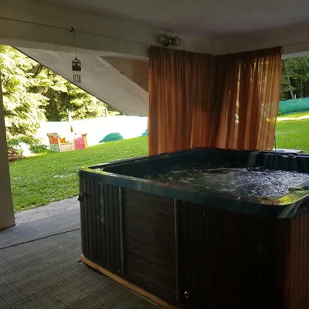 Toni's Mount Lodge *
